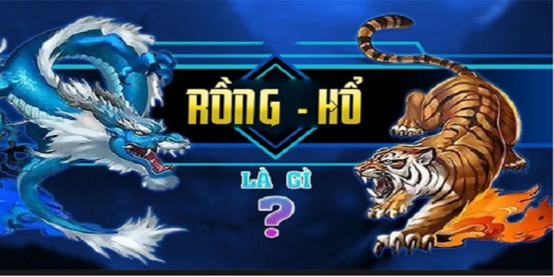 Bạn cần nắm bắt luật đánh trong Dragon & Tiger